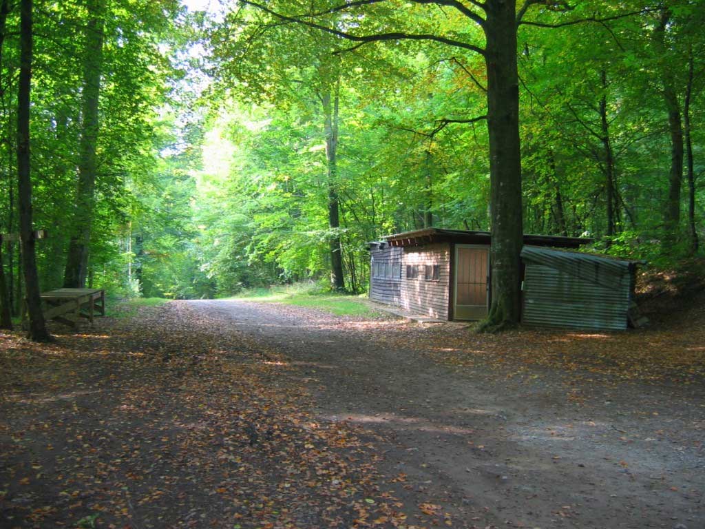 Bois de Willancourt