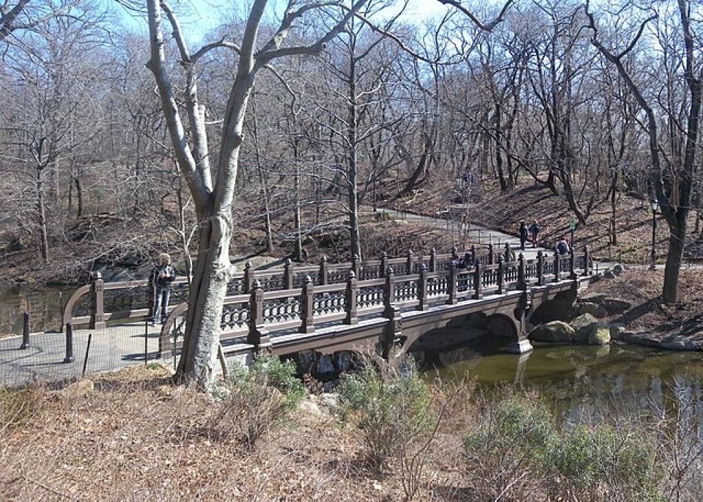 Oak Bridge