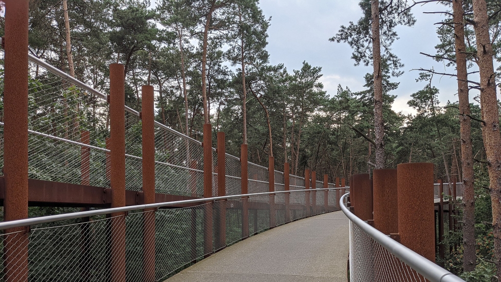 Pédaler dans les arbres