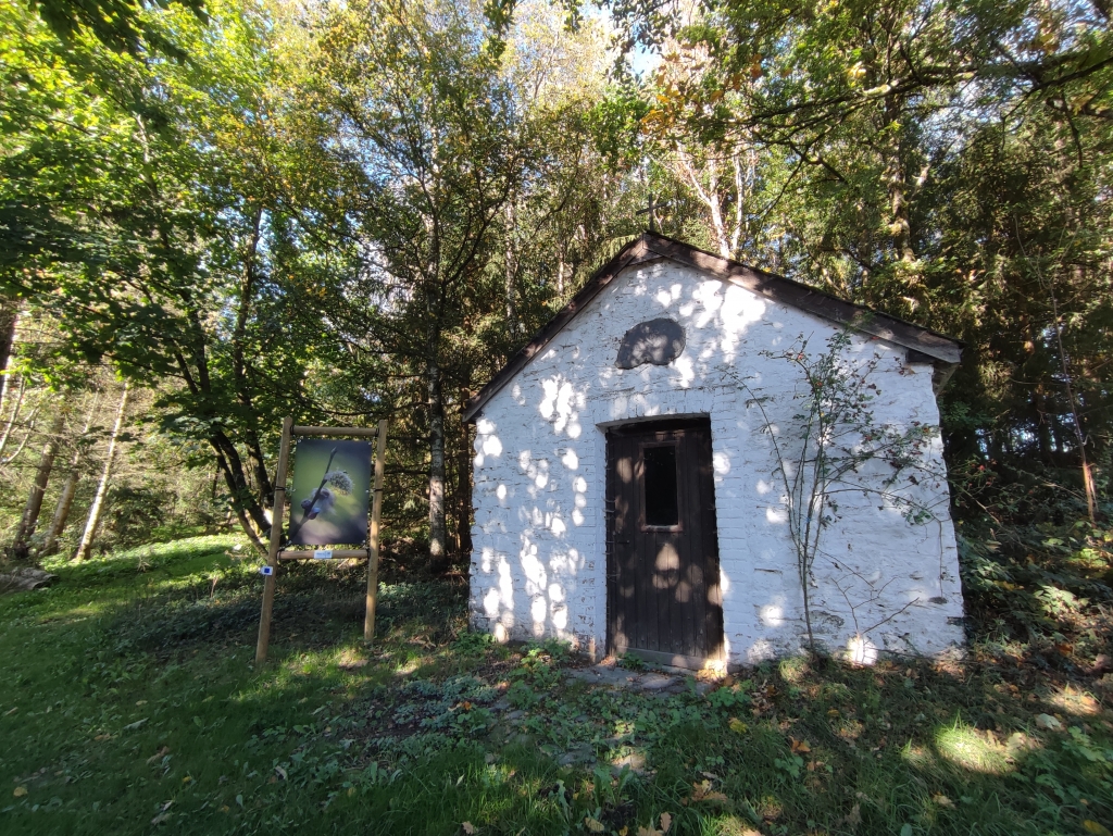 Chapelle de Bon Secours de Fays