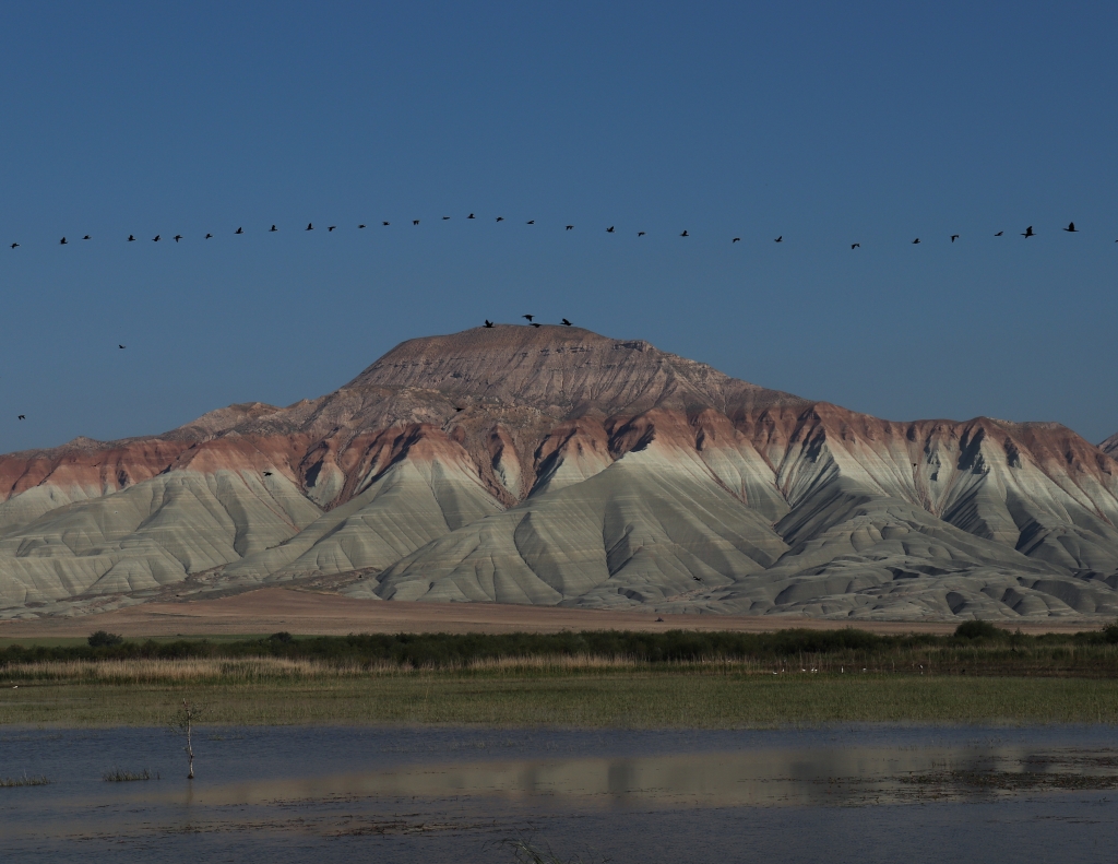 Paradis des Oiseaux de Nallıhan