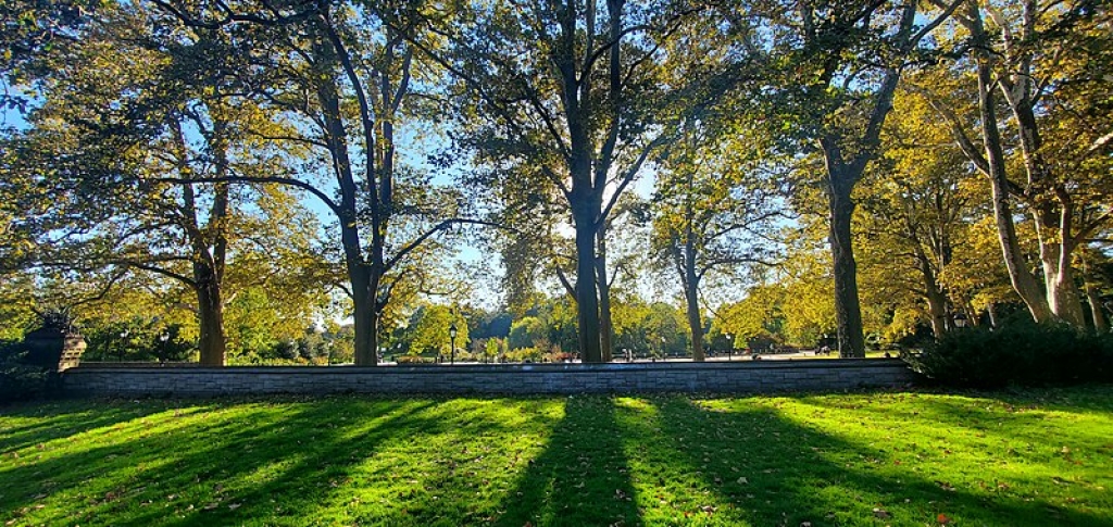 Prospect Park