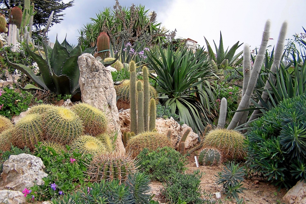 Jardin exotique d’Èze