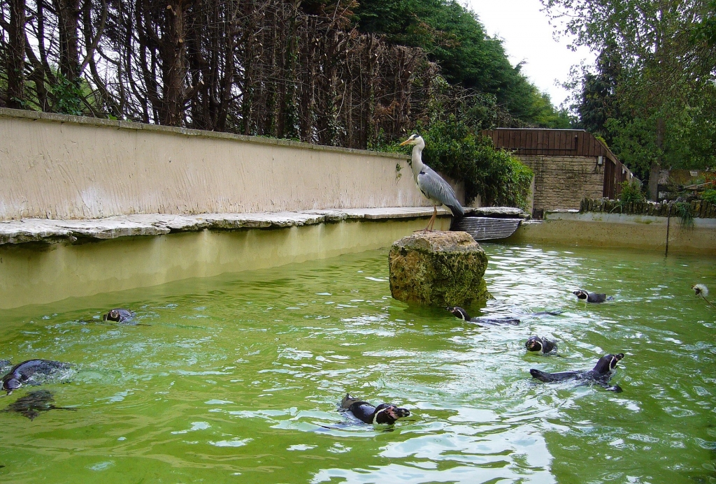 Birdland Park and Gardens