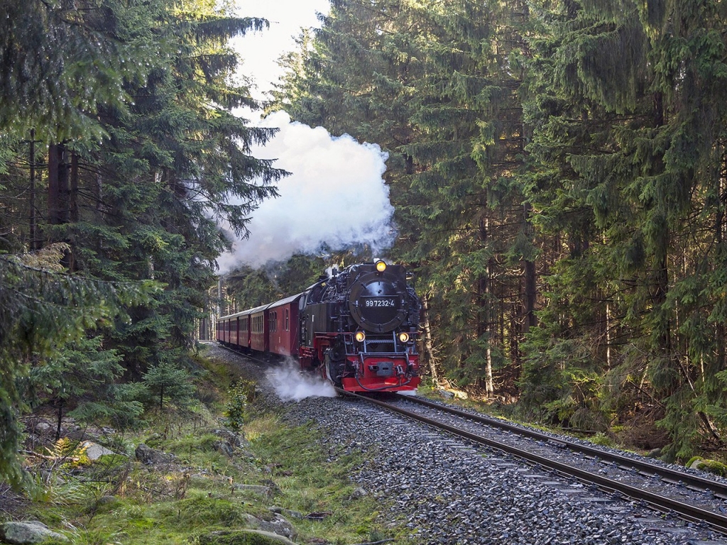 Train à Vapeur de Brocken