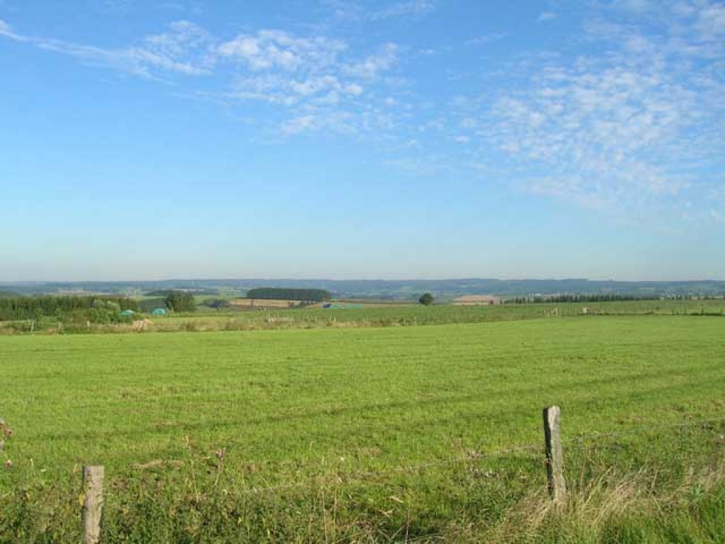 Point de vue de Steinbach