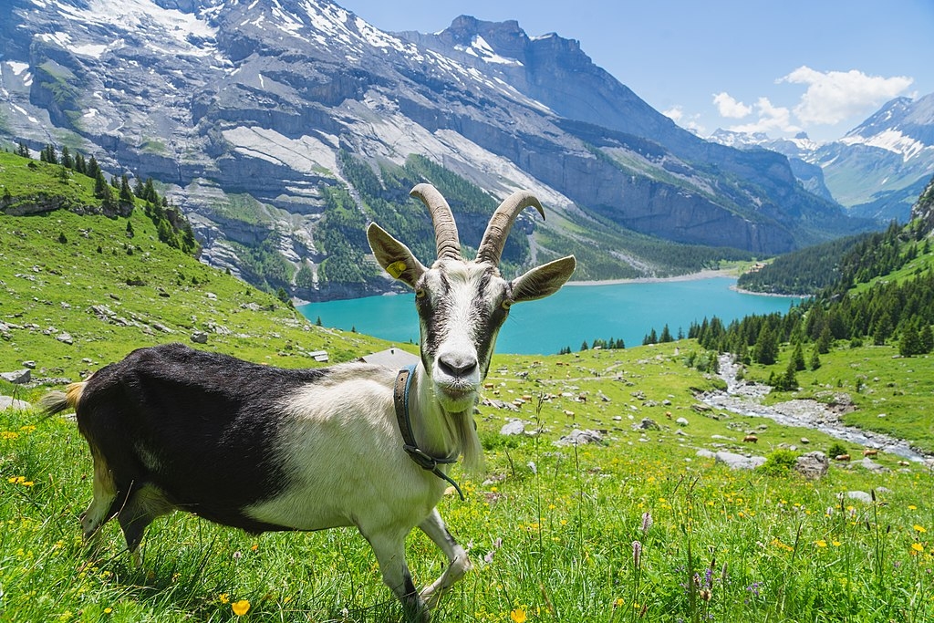 Lac d’Oeschinen