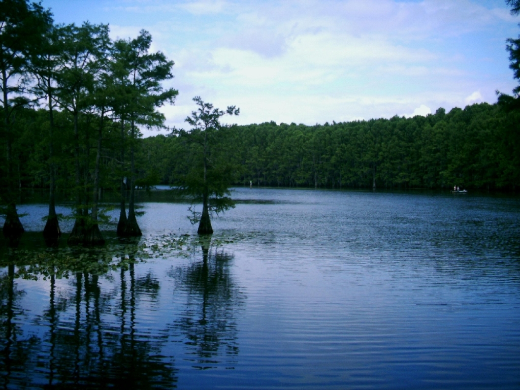 Lac Caddo