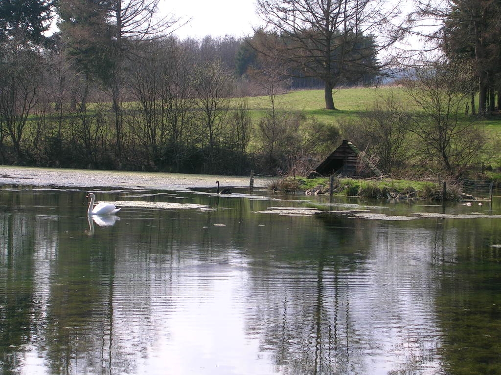 Etang Saint-Hilaire