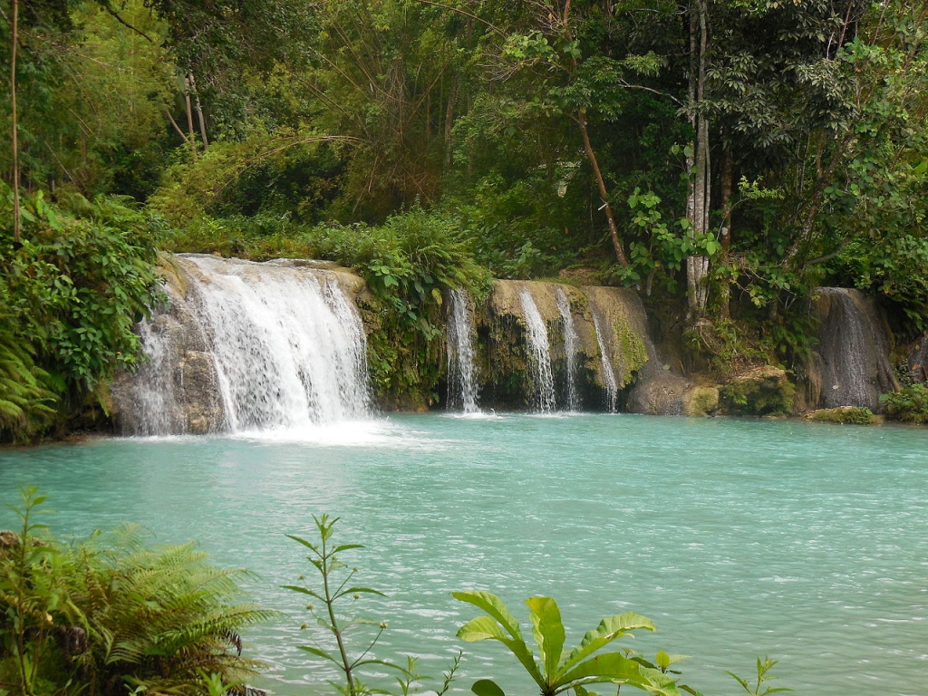 Cascade Cambugahay