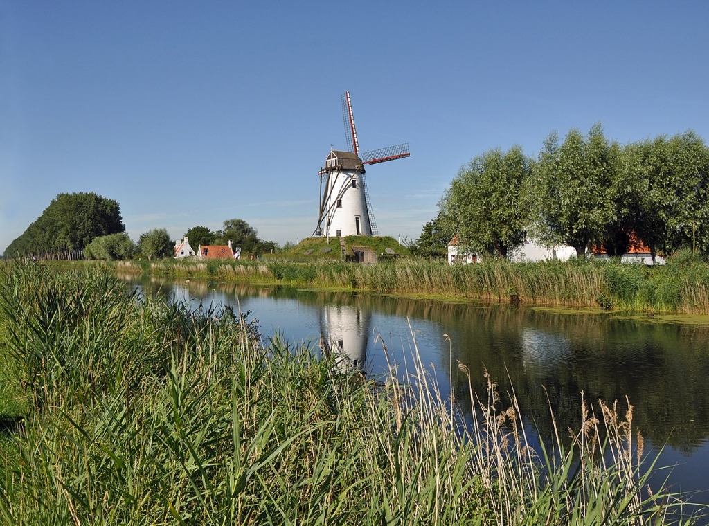 Schellemolen