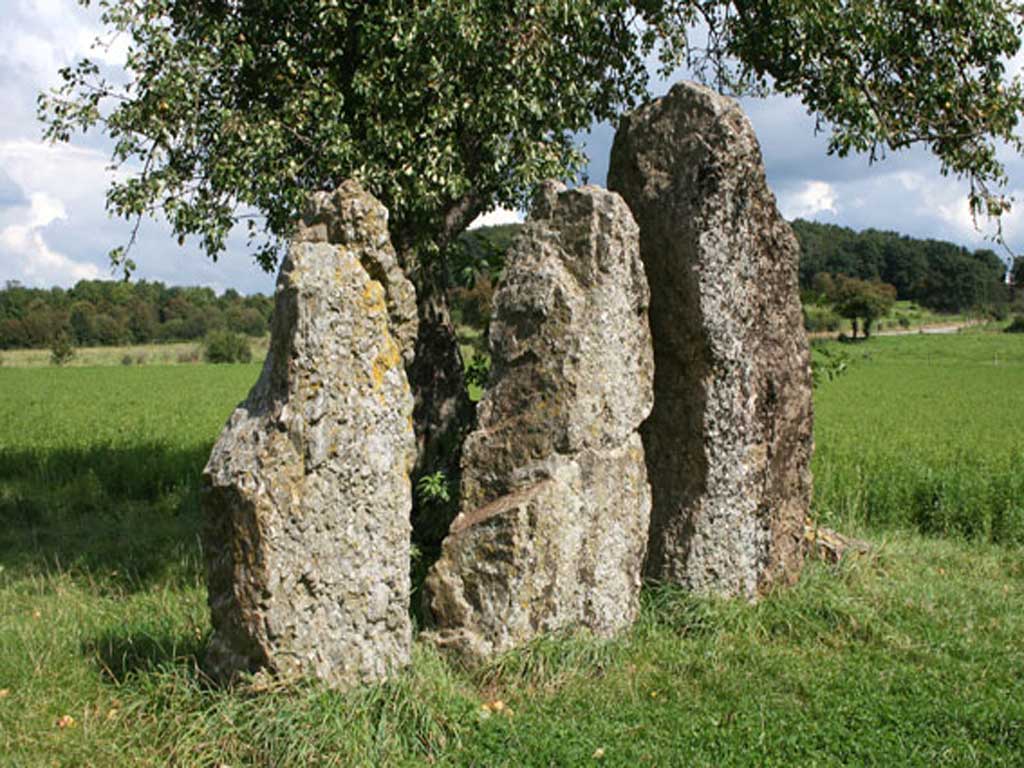 Trois menhirs d’Oppagne