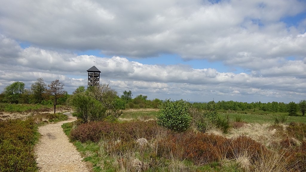 Fagne de Malchamps