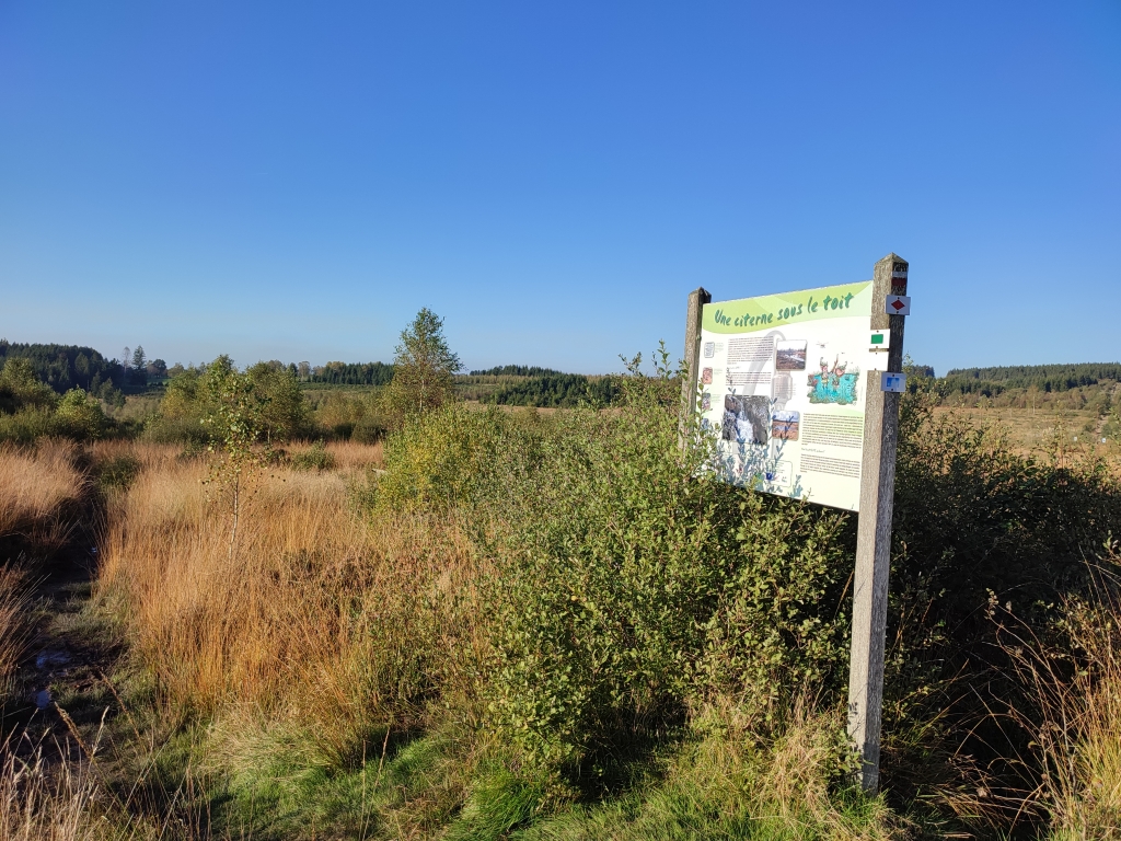 Fagne du Pouhon