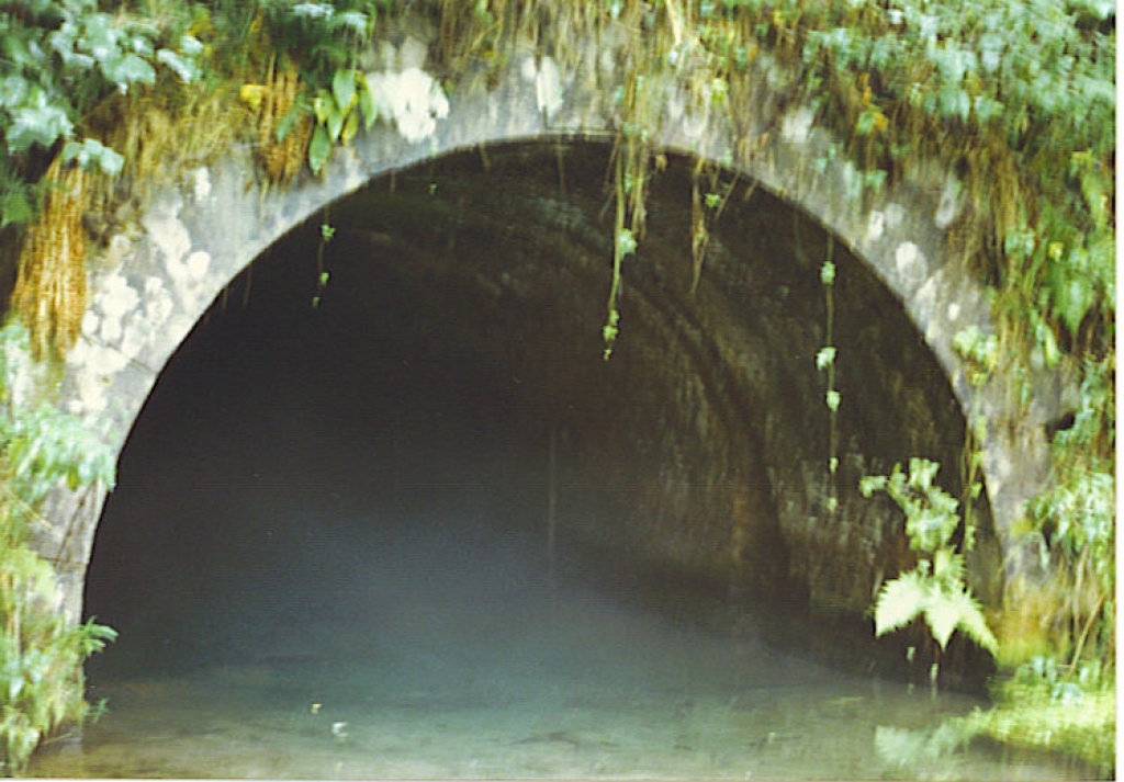 Tunnel de Bernistap