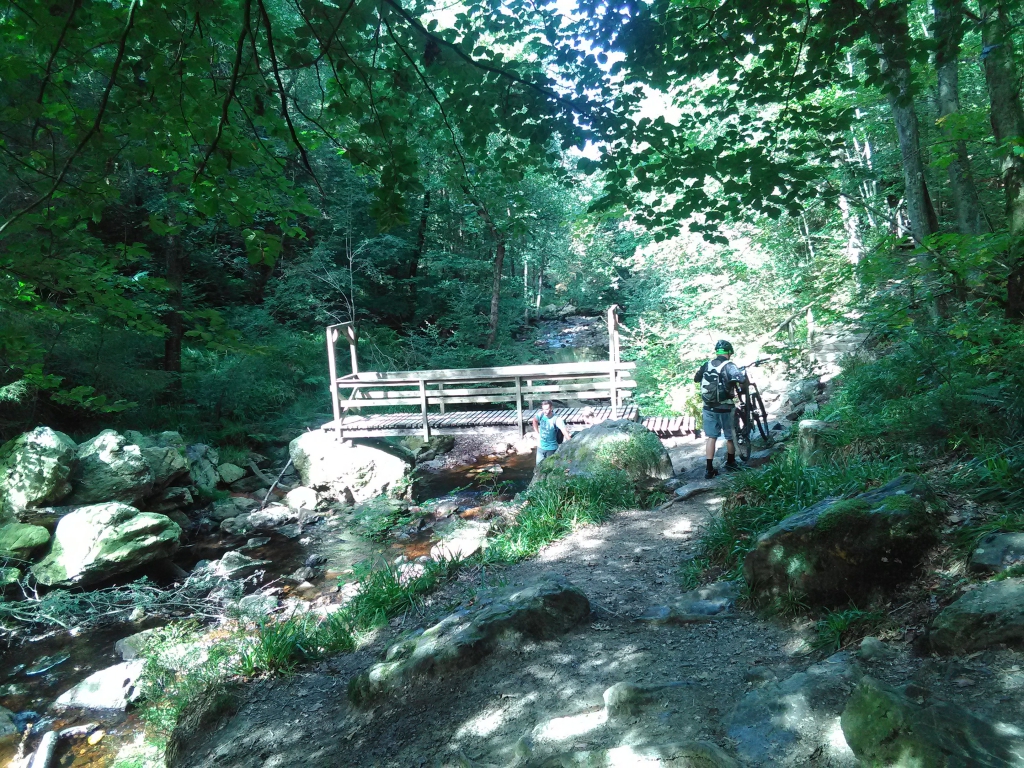 Passerelle des Forestiers