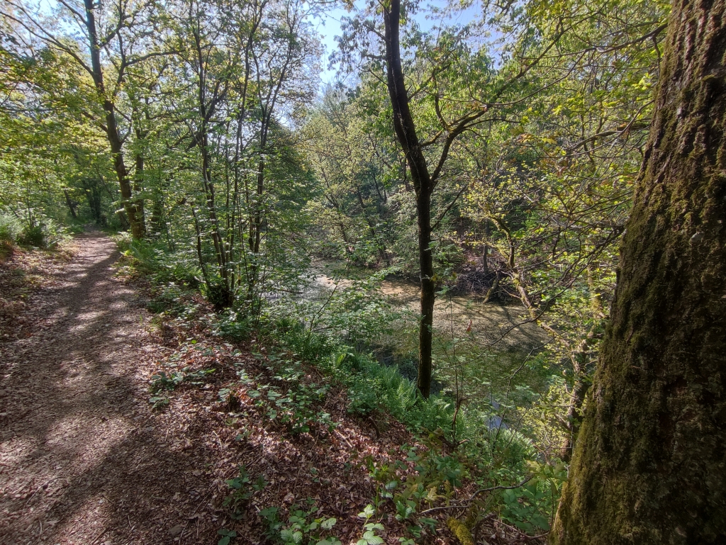 Chemin de Halage du Canal de Bernistap