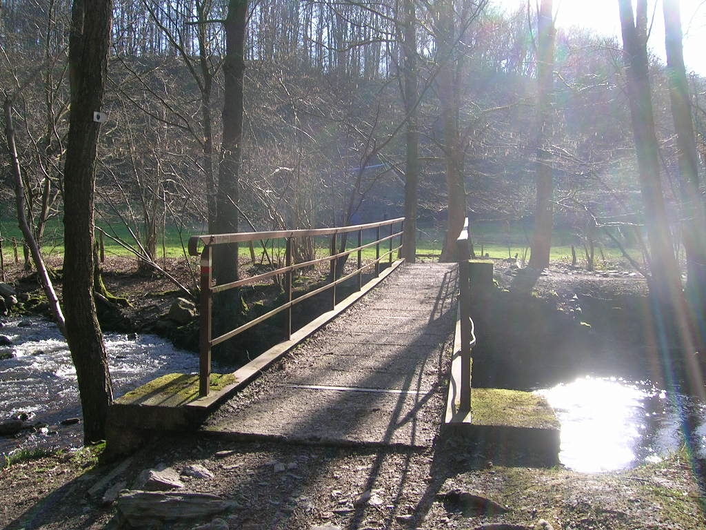 Passerelle du Croupet du Moulin