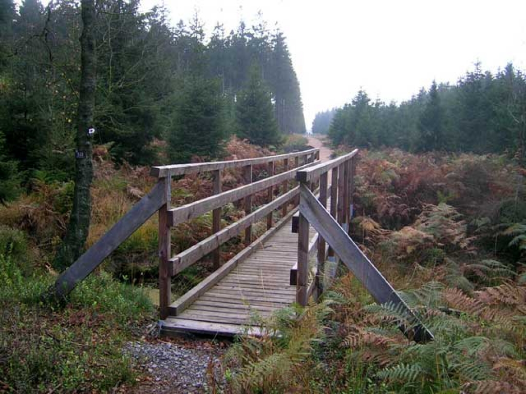 Pont du Fossé d’Eupen