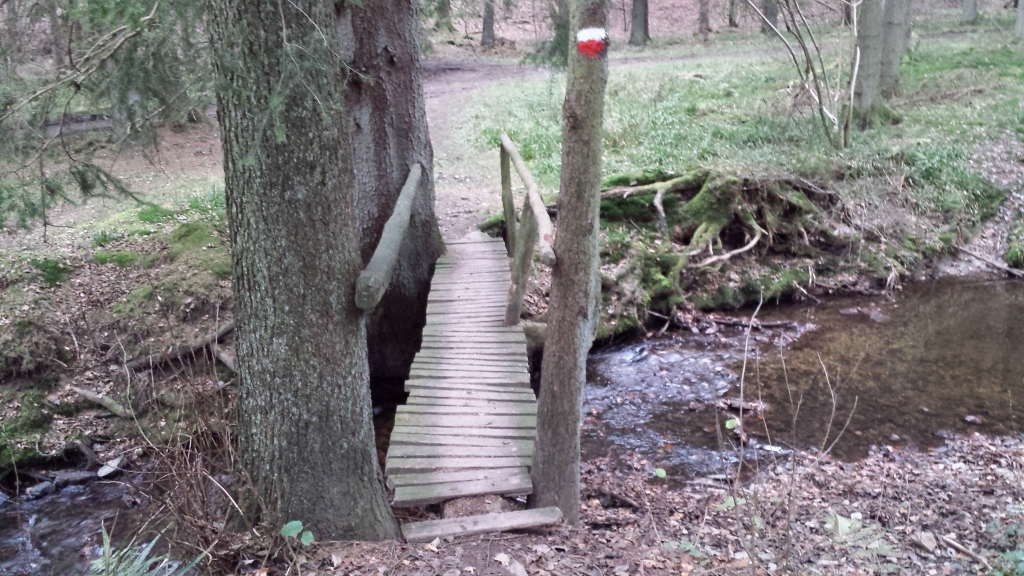 Passerelle du Ru de Dison