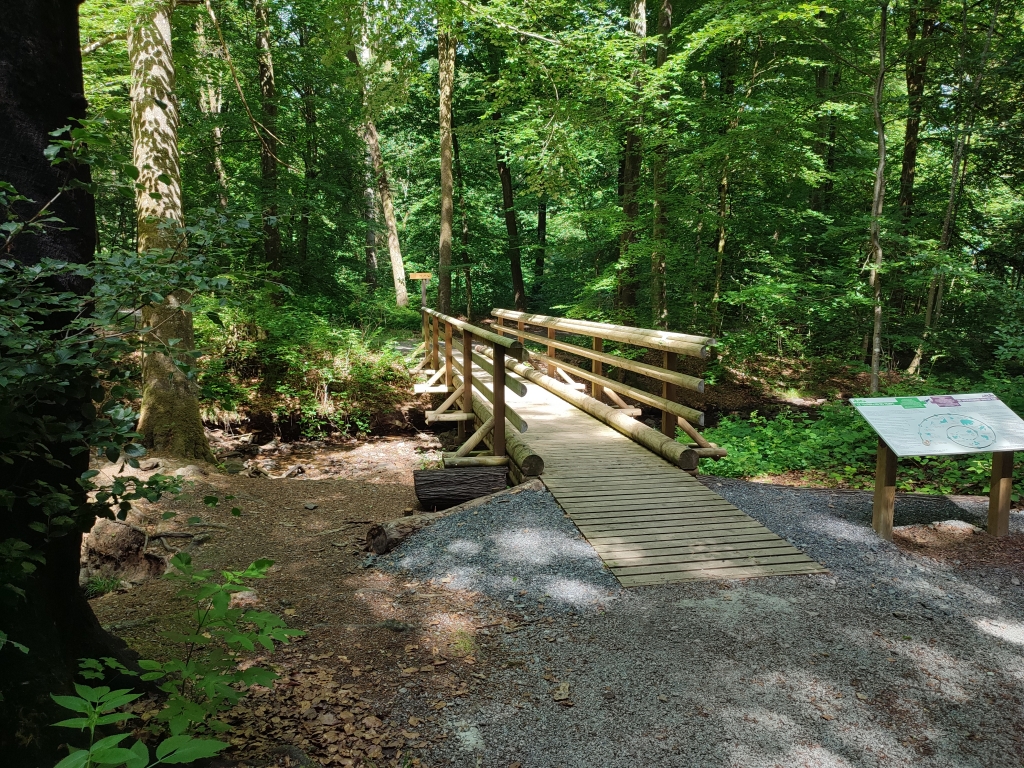 Passerelle du Ruisseau du Moulin