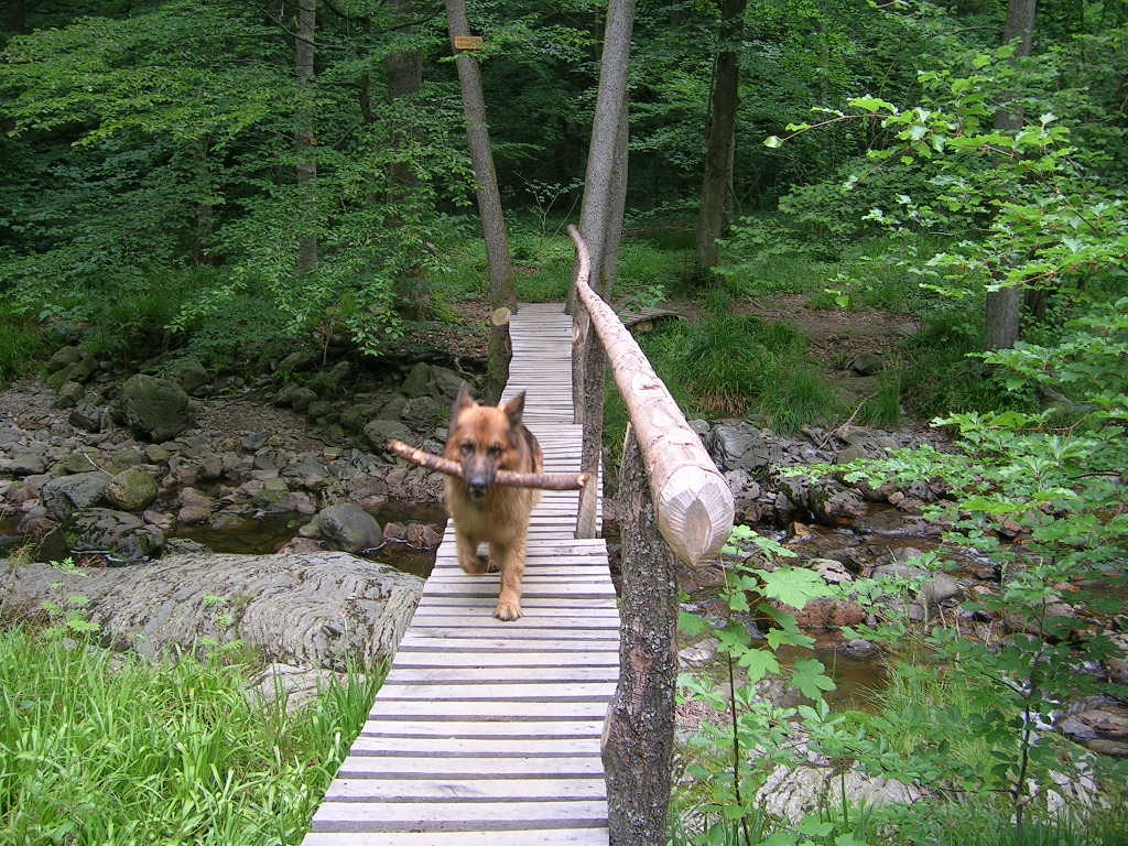 Pont des Forges