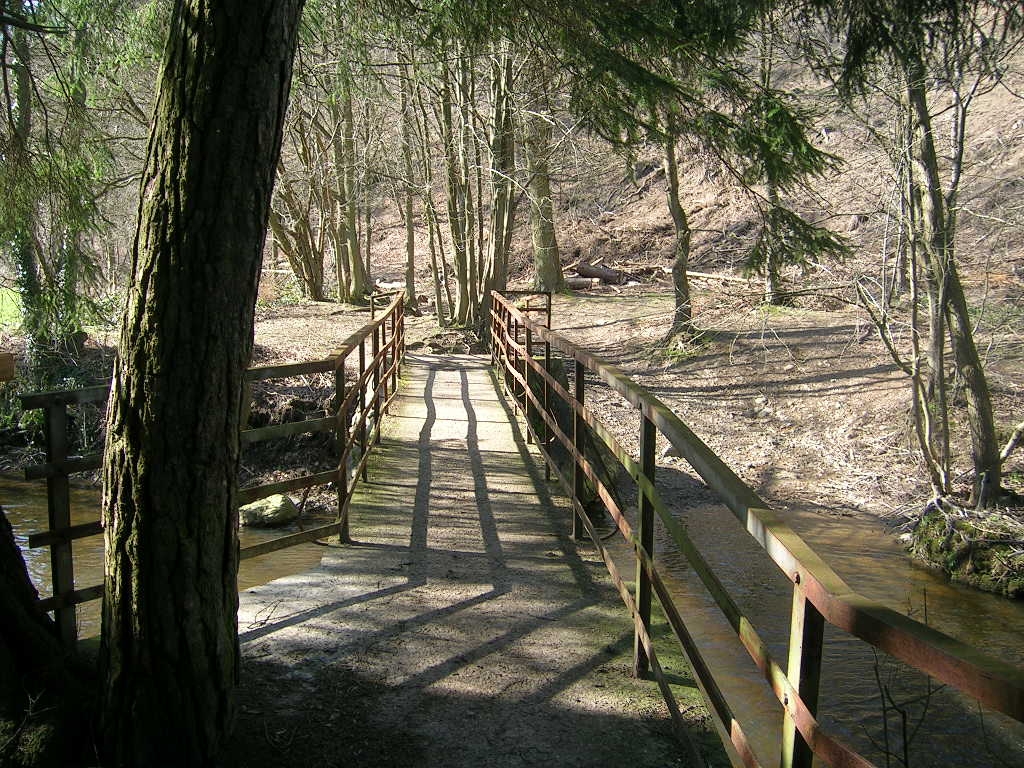 Passerelle du Moulin Gohy