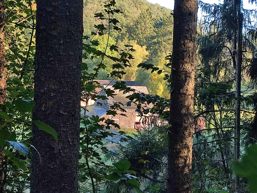 Moulin de Ferrières (anc.)