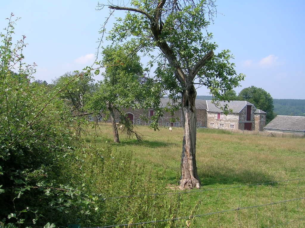 Château-ferme de Faweux