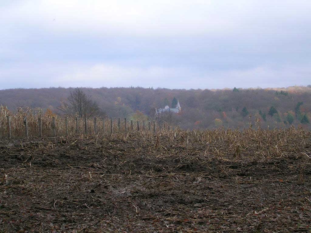 Château de Bestin