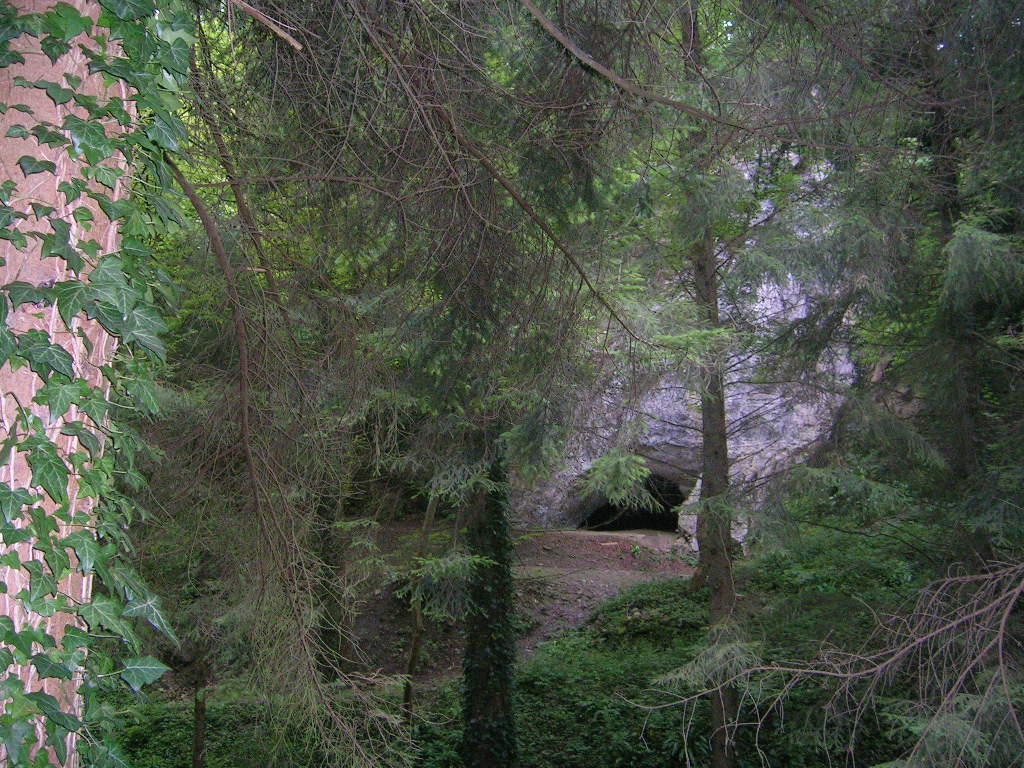 Grotte du Coléoptère