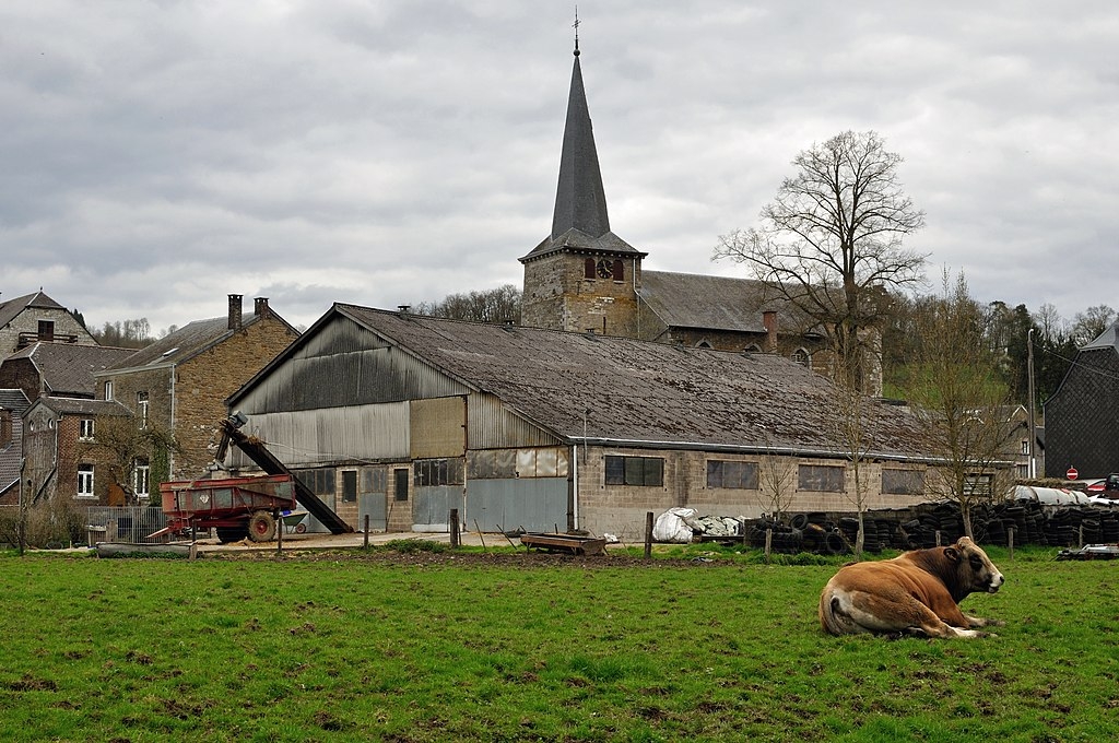 Eglise Saint-Martin de Comblain-Fairon