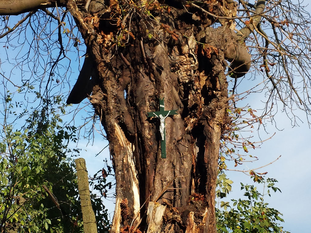 Croix du Sawou à Berneau