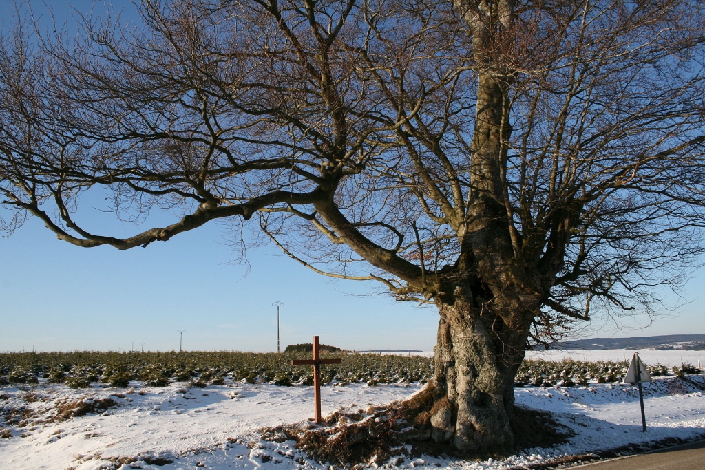 Croix Saint-Martin de Nisramont