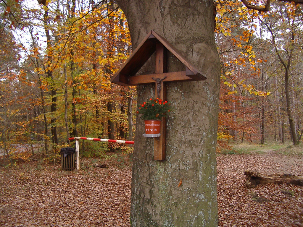 Croix de Rassouster