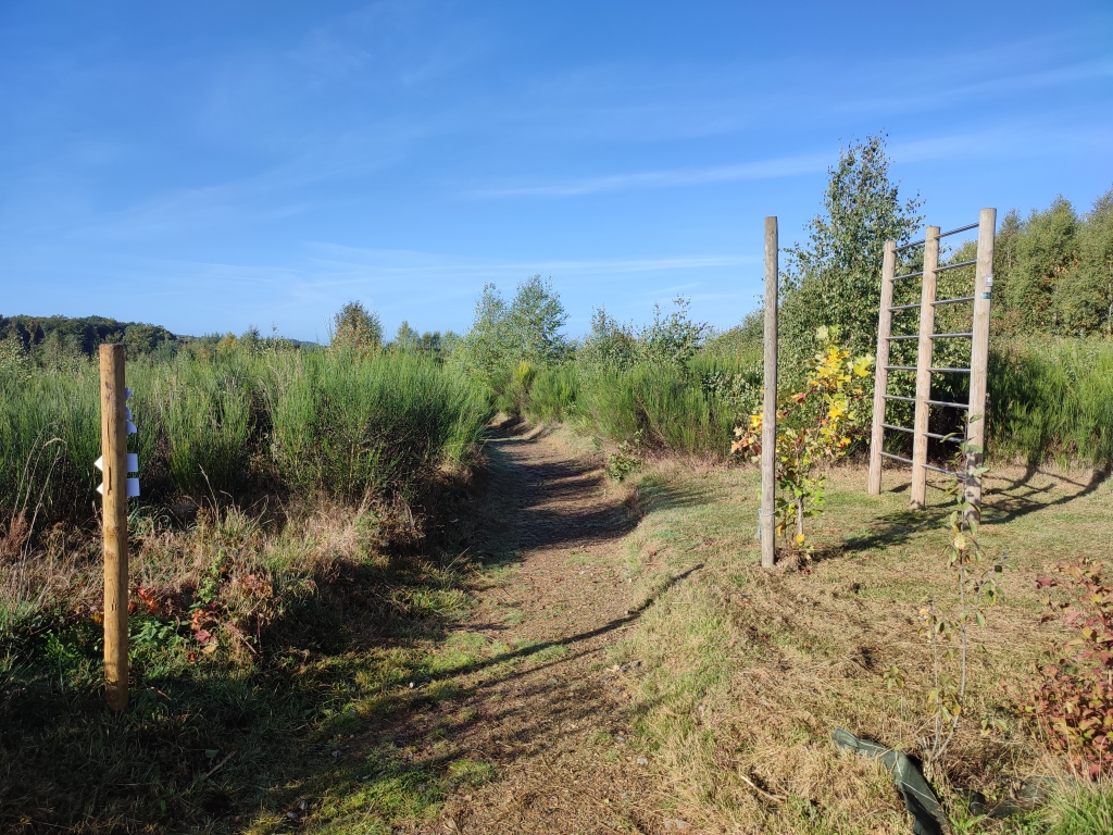 Parcours vita du Bois de Fays