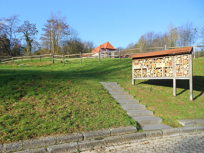 Musée de la Forêt Jan van Ruusbroec