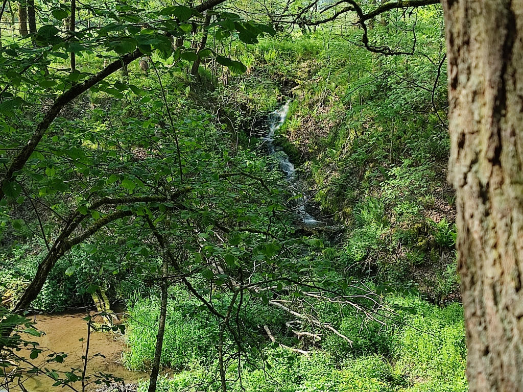 Réserve naturelle domaniale du Canal de Bernistap