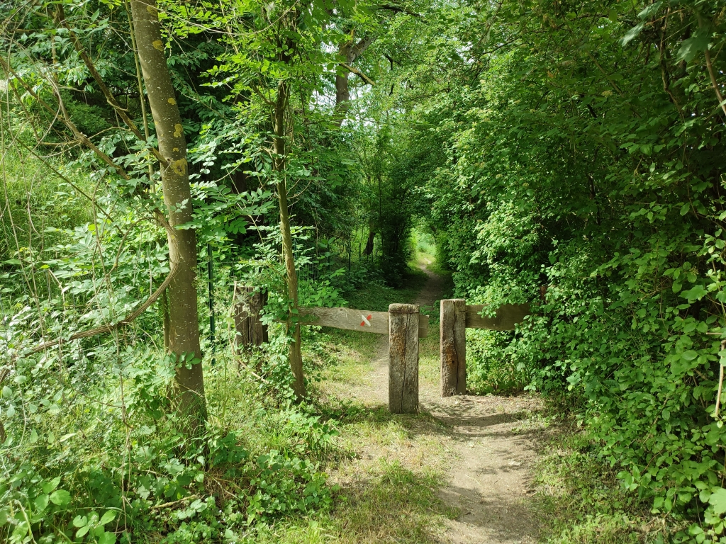 Réserve naturelle de Heyoule