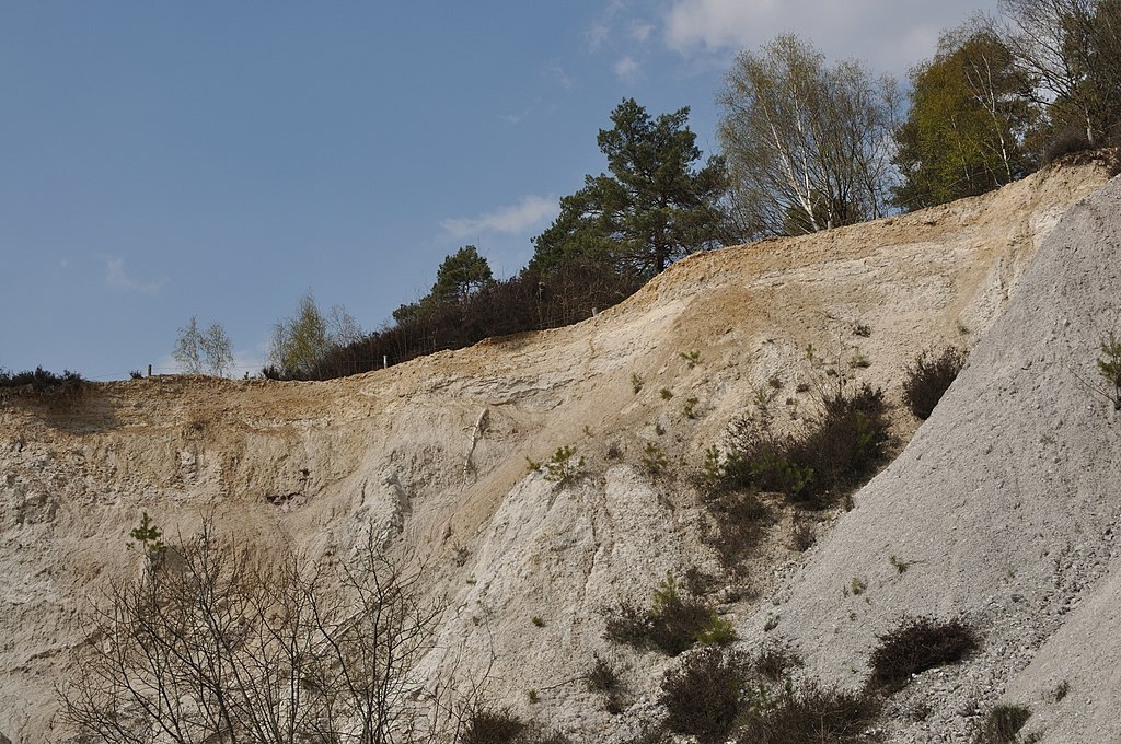 Réserve naturelle domaniale de la Sablière du Larbois