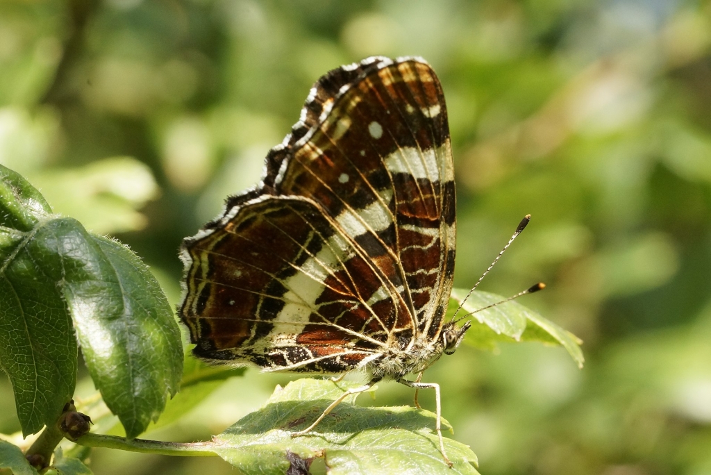 Réserve naturelle de l’Alouette