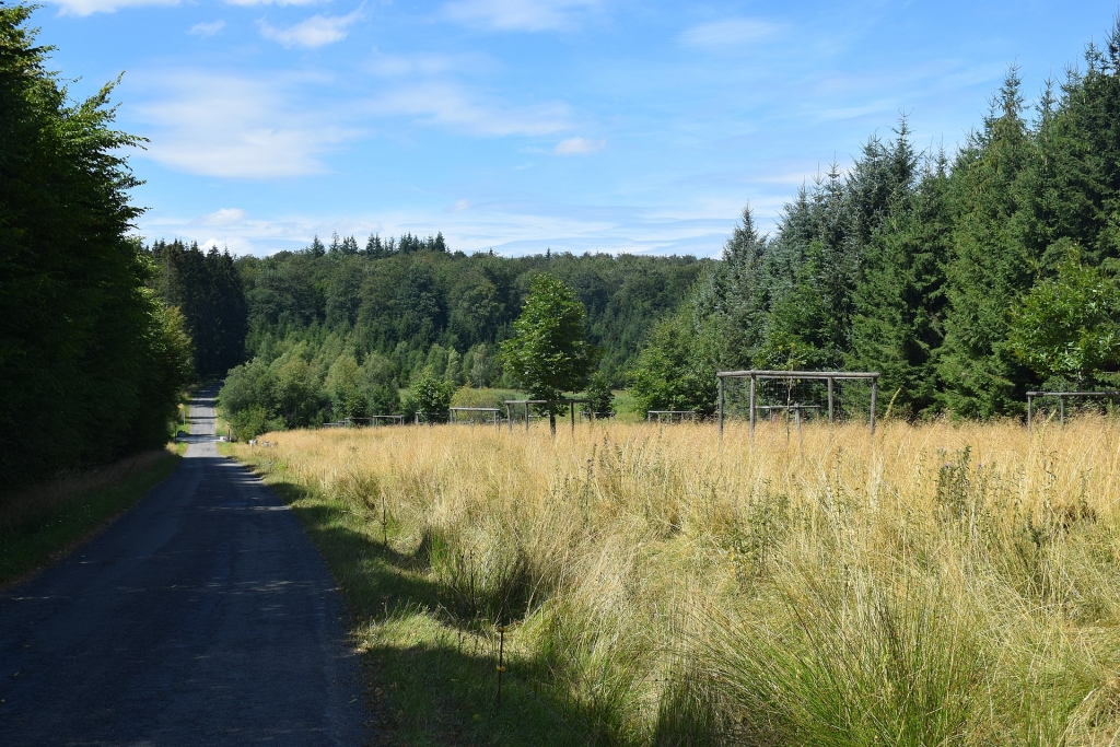 Réserve naturelle domaniale de la Fagne du Rouge Poncé