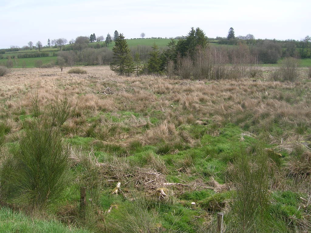 Réserve naturelle RNOB de l’Emmels