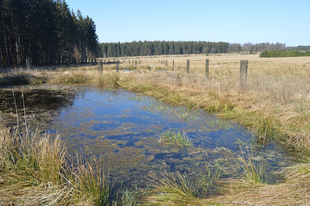 Fagnes de Samrée