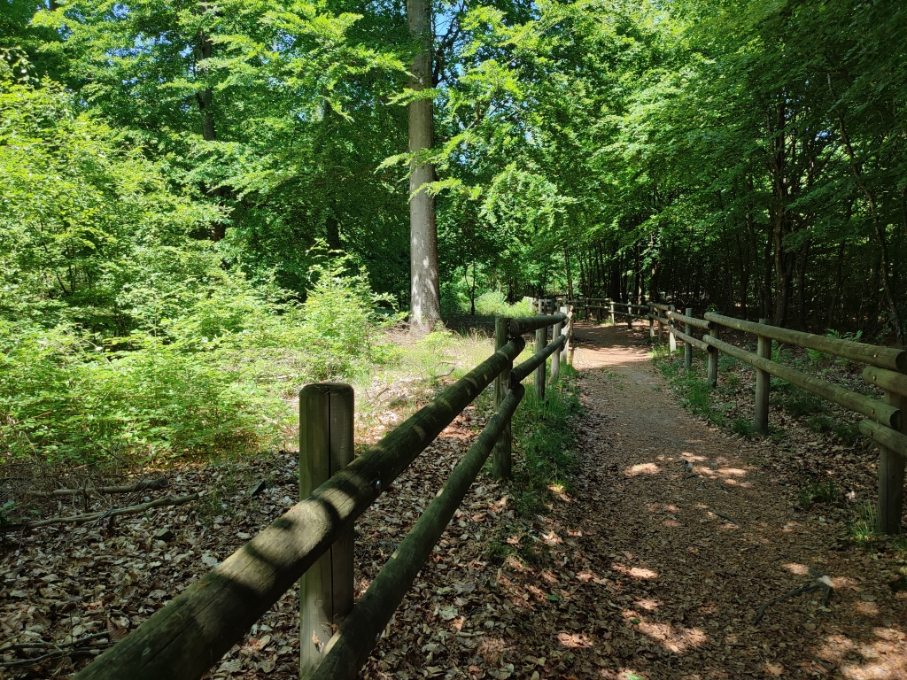 Sentier d’interprétation de Samrée