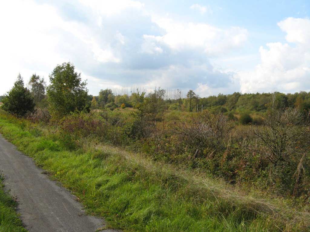 Marais de Vance