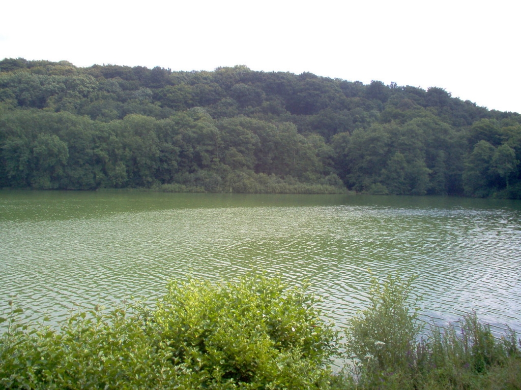 Réserve naturelle de l’Etang de Virelles