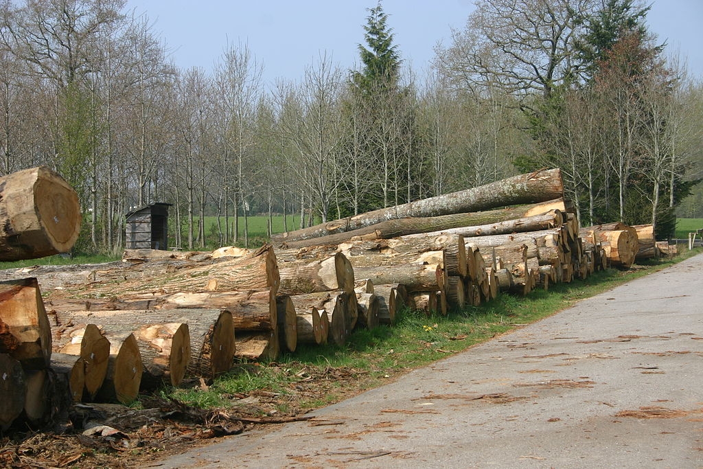 Parc à Grumes de Wallonie