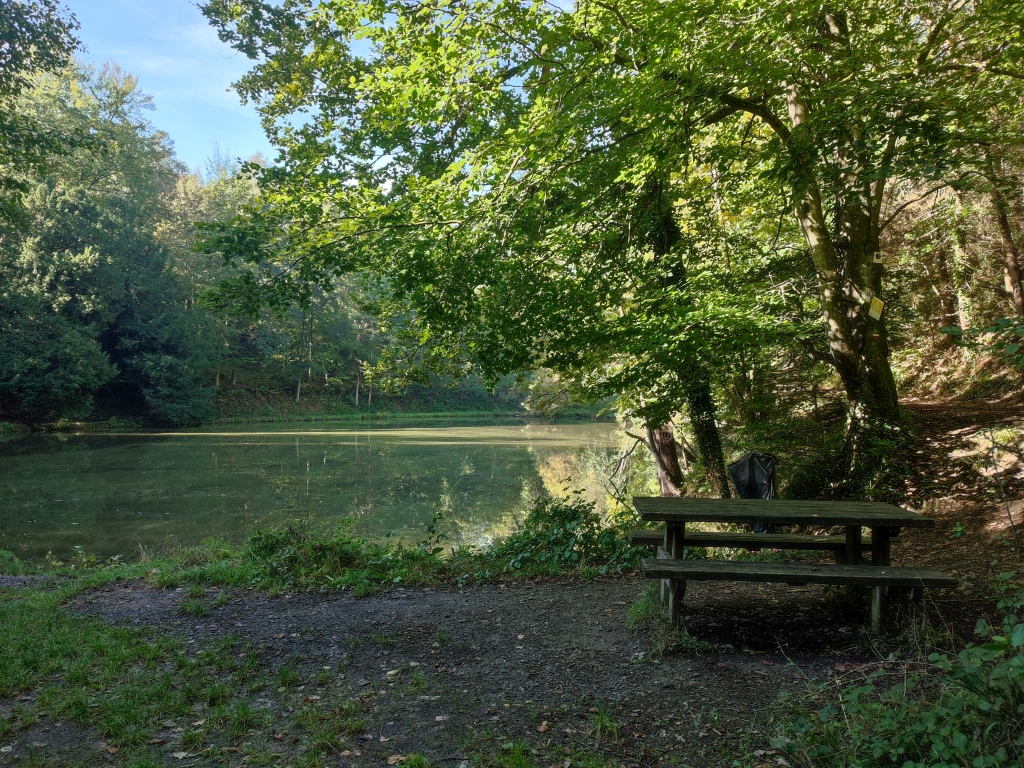 Pique-nique de l’Etang du Mary