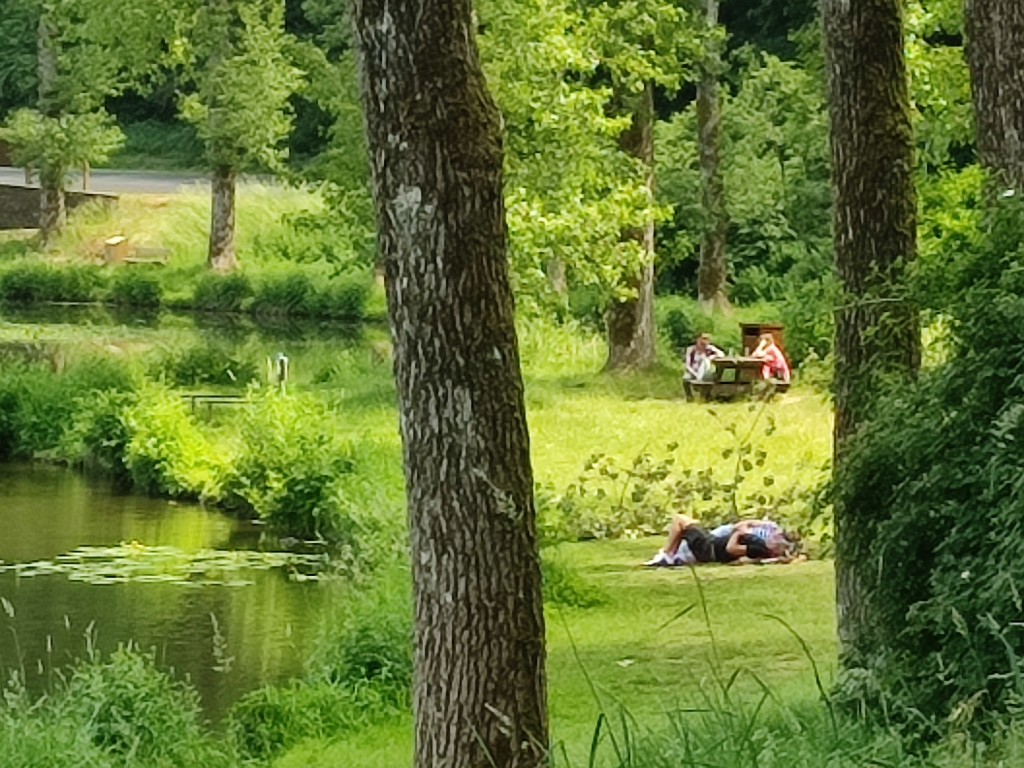 Pique-nique de l’Etang de Bologne